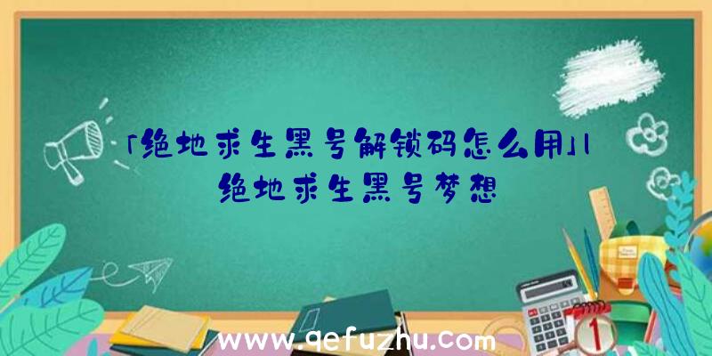 「绝地求生黑号解锁码怎么用」|绝地求生黑号梦想